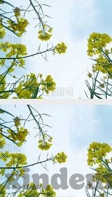 91麻豆影音-网络视频平台的多元体验，91麻豆影音的特别之处