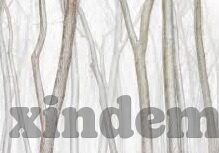 91麻豆自拍视频-探索网络内容的边界，以91麻豆自拍视频为例