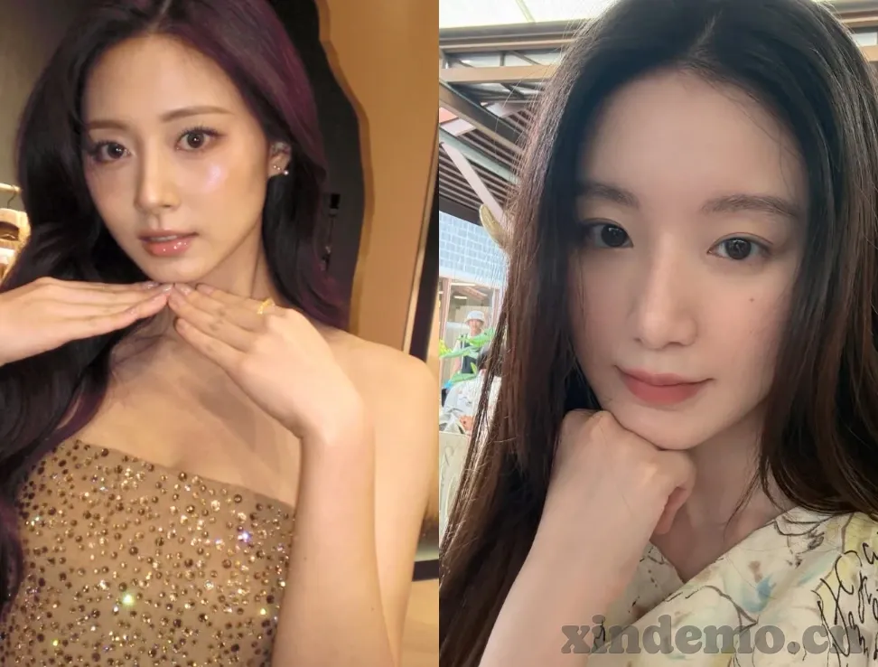 大象传媒免费网站-探索大象传媒免费网站的多元魅力