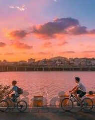 大象视频怎么安装不了-为什么大象视频无法安装，多角度分析与解决方案