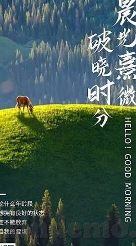 久久精品国产亚洲av麻豆不片-浅析中华文化元素在当代国产AV中的融合探究——以久久精品为例