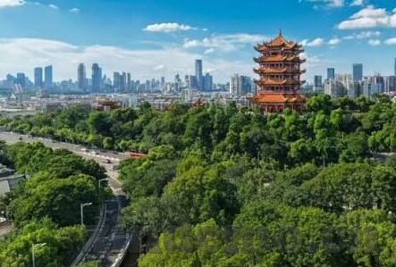 久久精品中文字幕一区-探寻网络世界的文化瑰宝，久久精品中文字幕一区