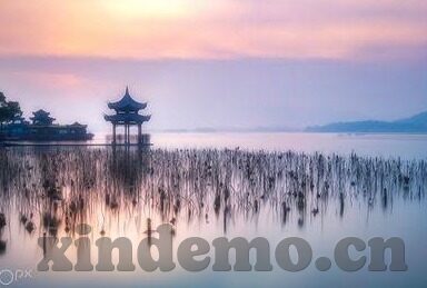 麻豆经济传媒app-揭秘麻豆经济传媒App背后的市场经济与文化影响