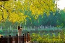 麻豆精选果冻传媒-麻豆精选果冻传媒，探索现代娱乐的独特视角