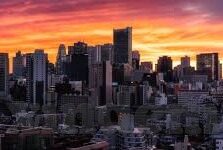 麻豆嫩草视频在线观看-探索网络新视界，网络стій活力与责任并存的平衡点