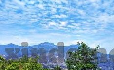 糖心app免费版百度云-被封锁的诱惑，免费糖心app的云端迷思