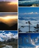 糖心vlog官网现在-糖心vlog官网的当前现状与未来展望
