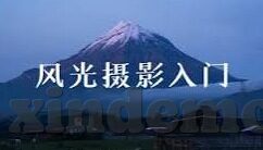 糖心vlog最新地址-解锁糖心Vlog最新地址，探索生活与创作的全新维度