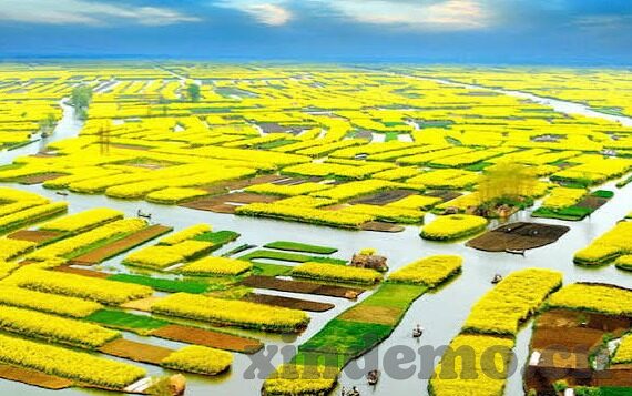在线视频 麻豆 91-当麻豆 91遇见在线视频，新媒体时代的娱乐新探索